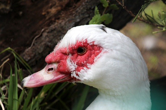 埃基蒂克：对战平利兹联感到失望，相比进球更希望能赢球